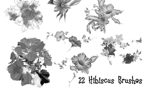 Realistic free hibiscus brushes