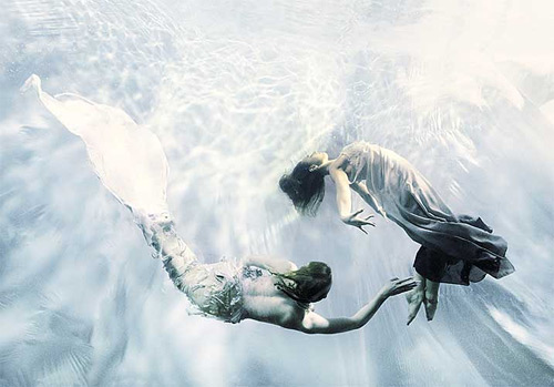zena holloway underwater photography featured