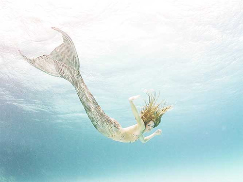 zena holloway underwater photography featured