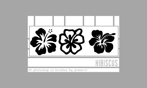 Photoshop CS free hibiscus brushes
