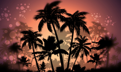 A Mini Collection Of Free Palm Tree Brushes For Photoshop Naldz Graphics 8395