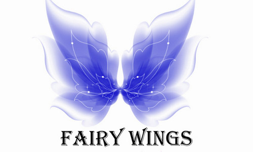 beautiful fairy wing brush