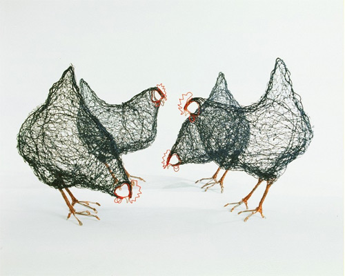 chicken wires Celia Smith featured