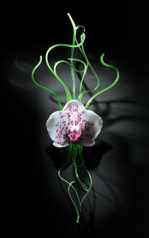 orchid glass art Jason Gamrath featured