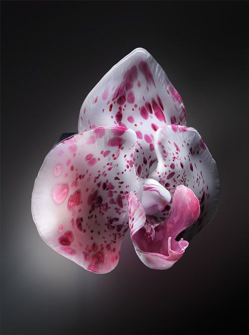 purple orchid glass art Jason Gamrath featured