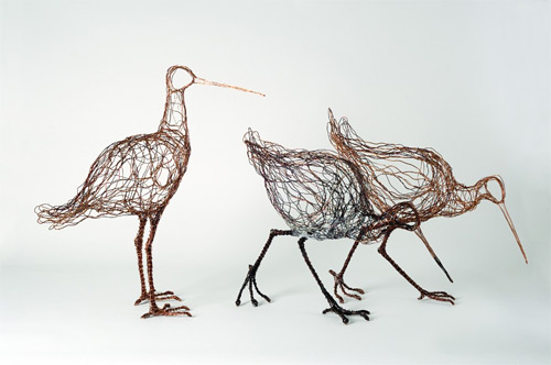 godwits wires Celia Smith featured