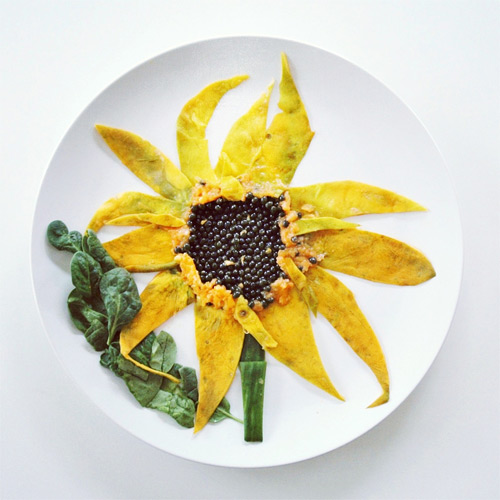 sunflower Culinary Canvas Lauren Purnell featured