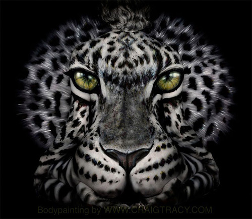 feral leopard Craig Tracy featured