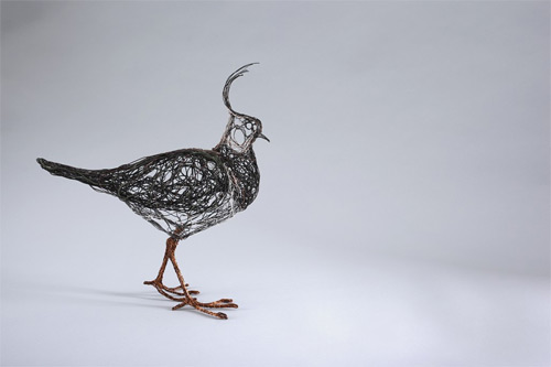 walking lapwings wires Celia Smith featured