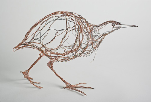 bittern wires Celia Smith featured