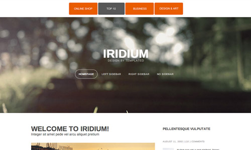 freebie responsive html5 theme