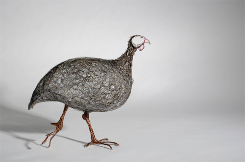 guinea fowl wires Celia Smith featured