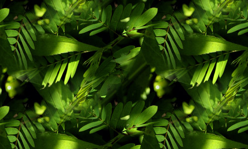 Seamless leaves texture
