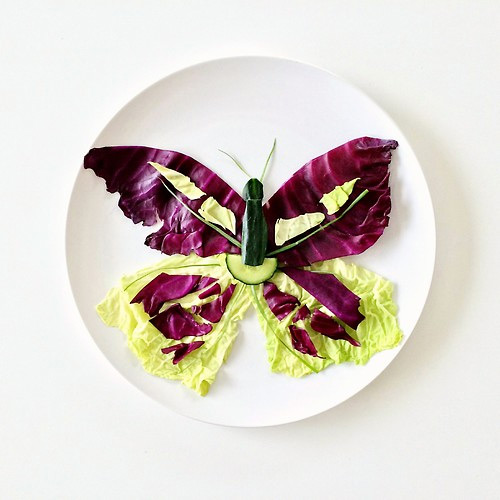 papillon Culinary Canvas Lauren Purnell featured