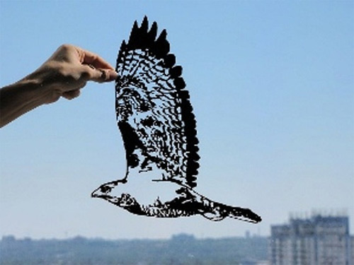 hawk in flight dream paper cut Dmytro Iuliia featured