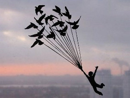 birds on the string dream paper cut Dmytro Iuliia featured