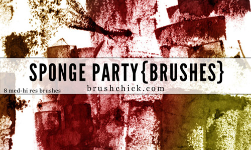 Sponge brush pack