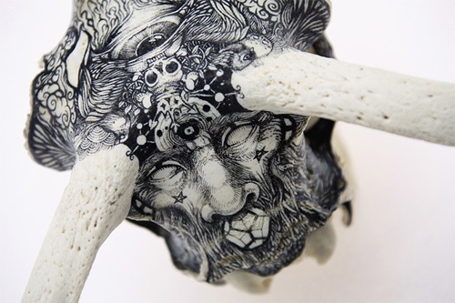 skull bone painted DZO Olivier featured