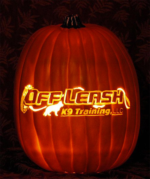 off leash pumpkin carving