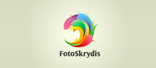 colorful feather foto skrydris logo