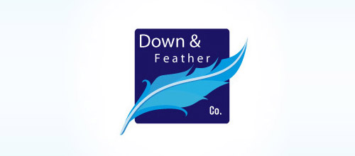 blue feather logo design