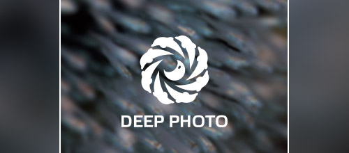 deep photo dolphin logo design