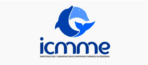 icmme dolphin logo design