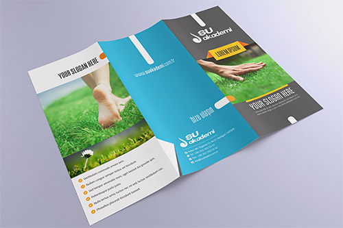 tri-fold brochure