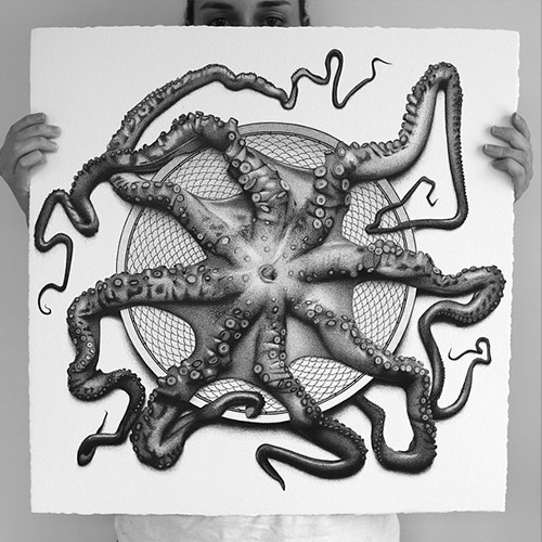 octopus illustration hendry