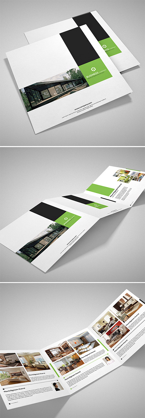 multipurpose square brochure