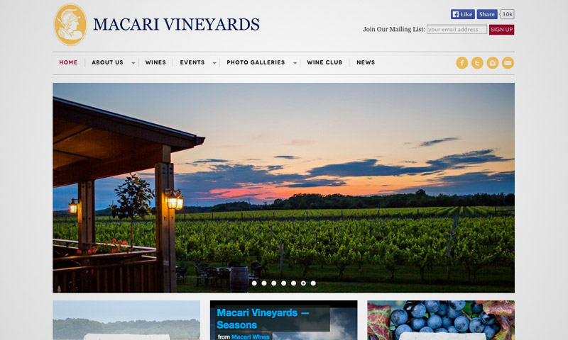 vineyard website design