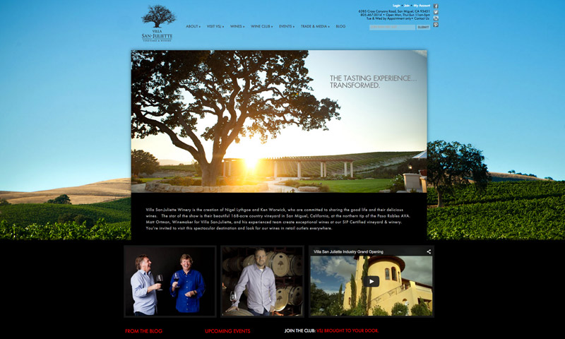 vineyard winery websites