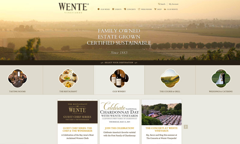 vineyard web design