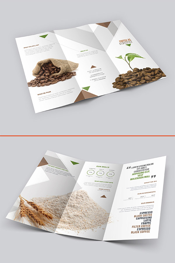 trifold brochure