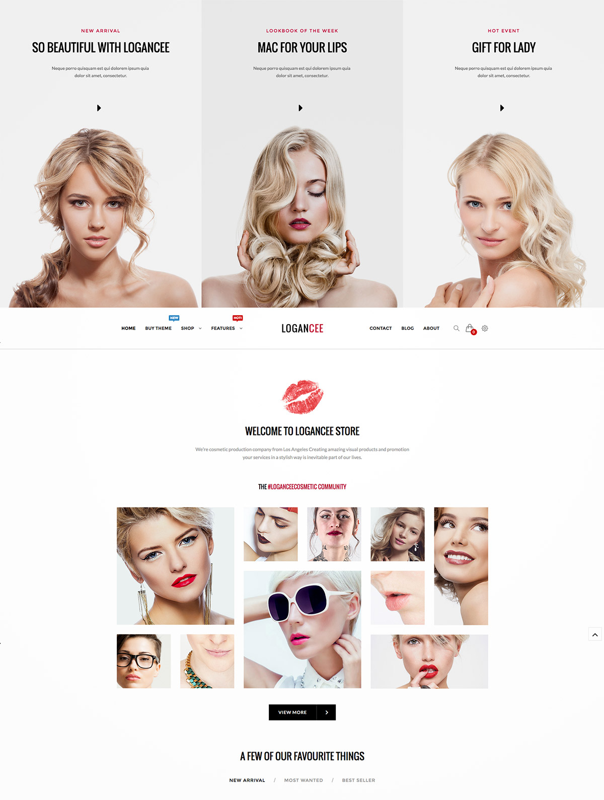 55 Best Magento eCommerce Themes | Naldz Graphics