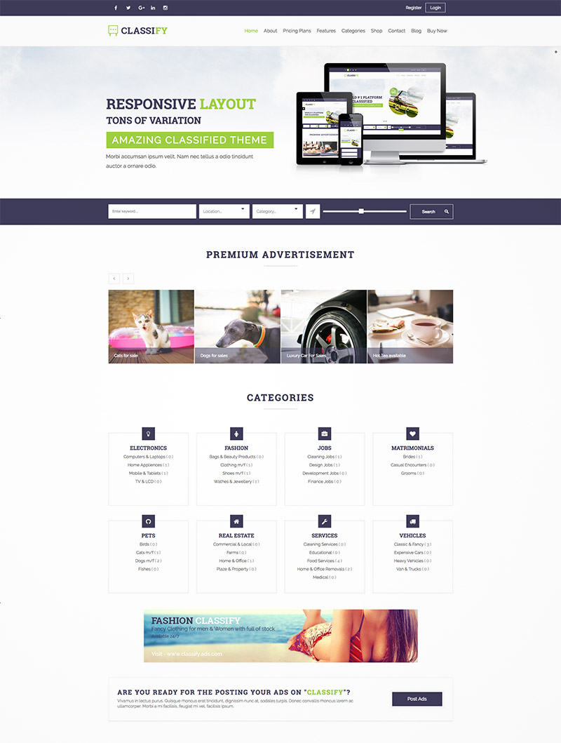 classified ads theme