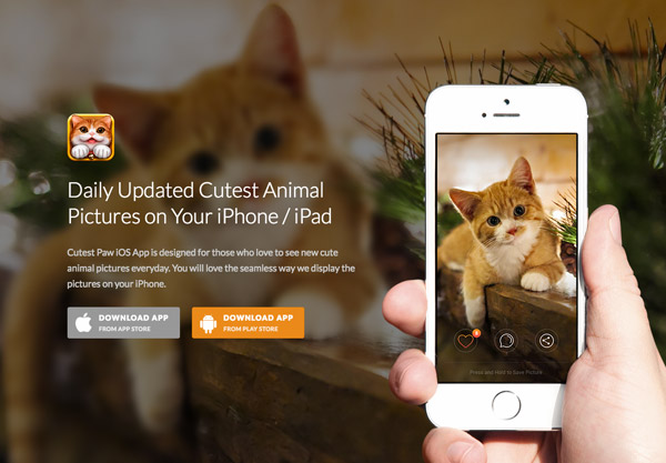 animal photo app