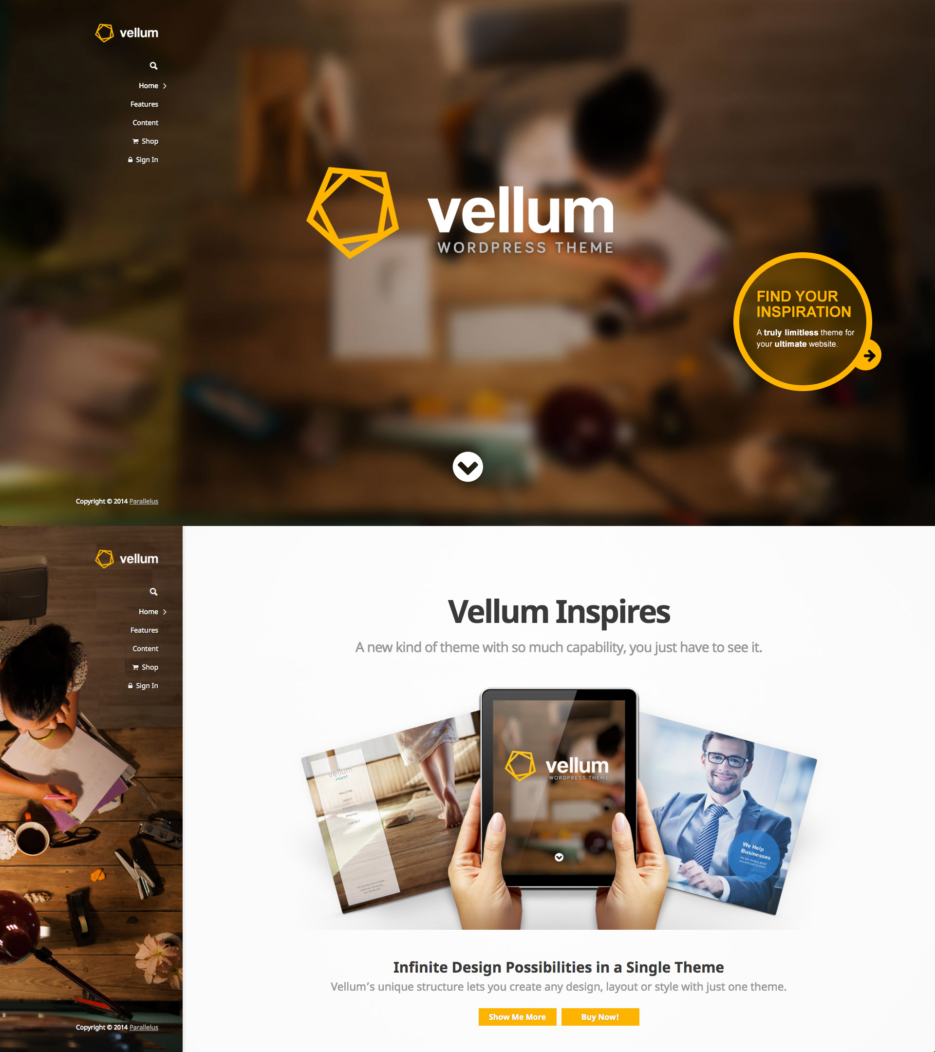 responsive wordpress theme