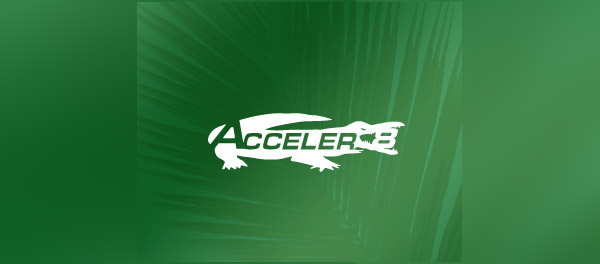 crocodile alligator logo