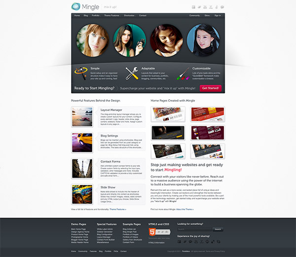 buddypress theme website