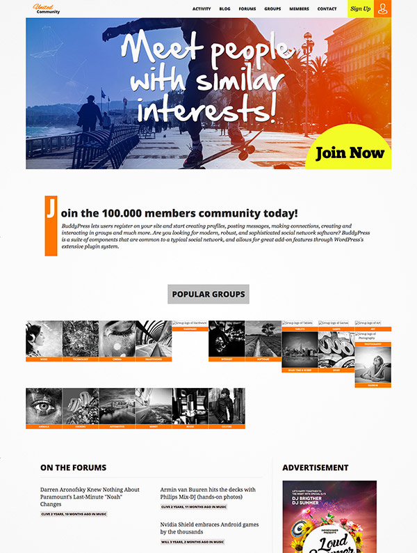 buddypress theme community