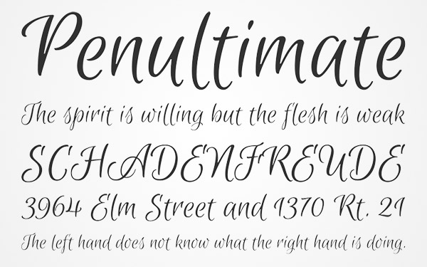 calligraphy elegant script