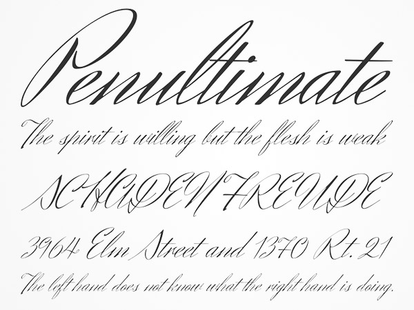 italic elegant handwritten