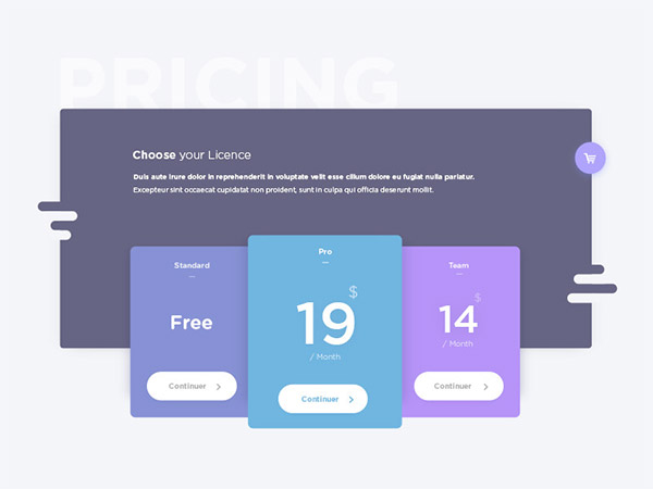 flat design price