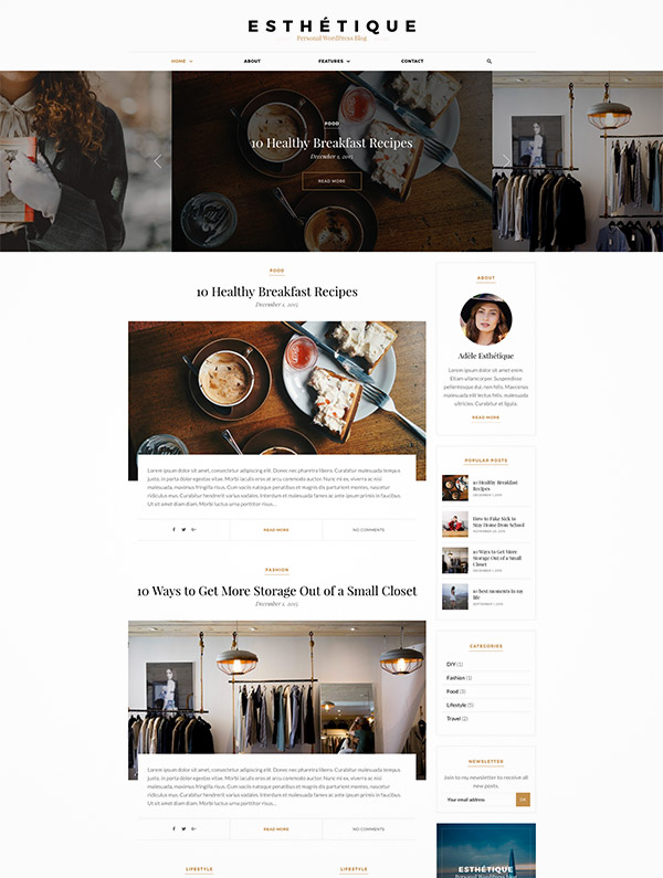 premium wordpress template