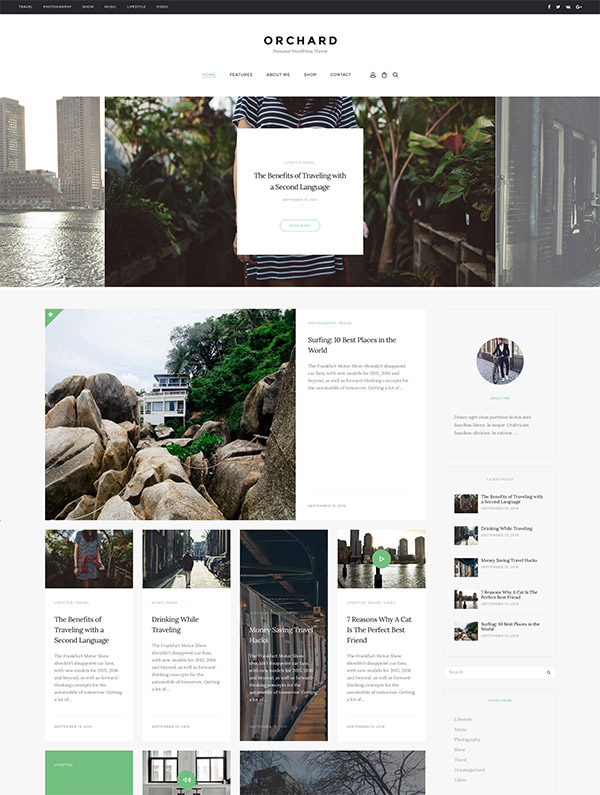 33 Worth-It Premium Personal Blog WordPress Themes | Naldz Graphics