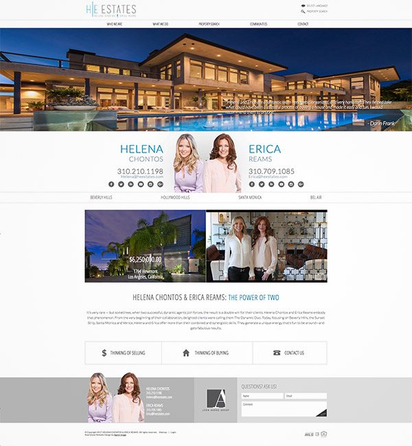 professional design website