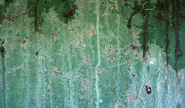 green wall paint