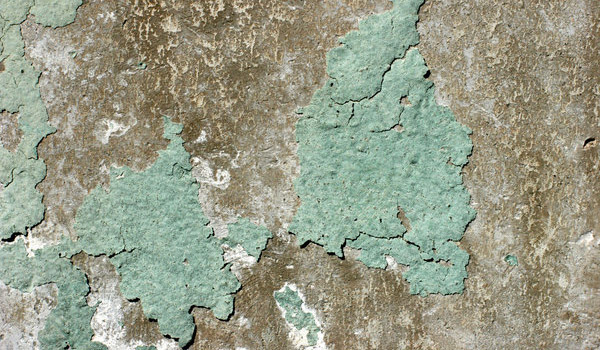 teal paint peeling