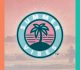 30 Creative Examples Of Palm Tree Logo Designs